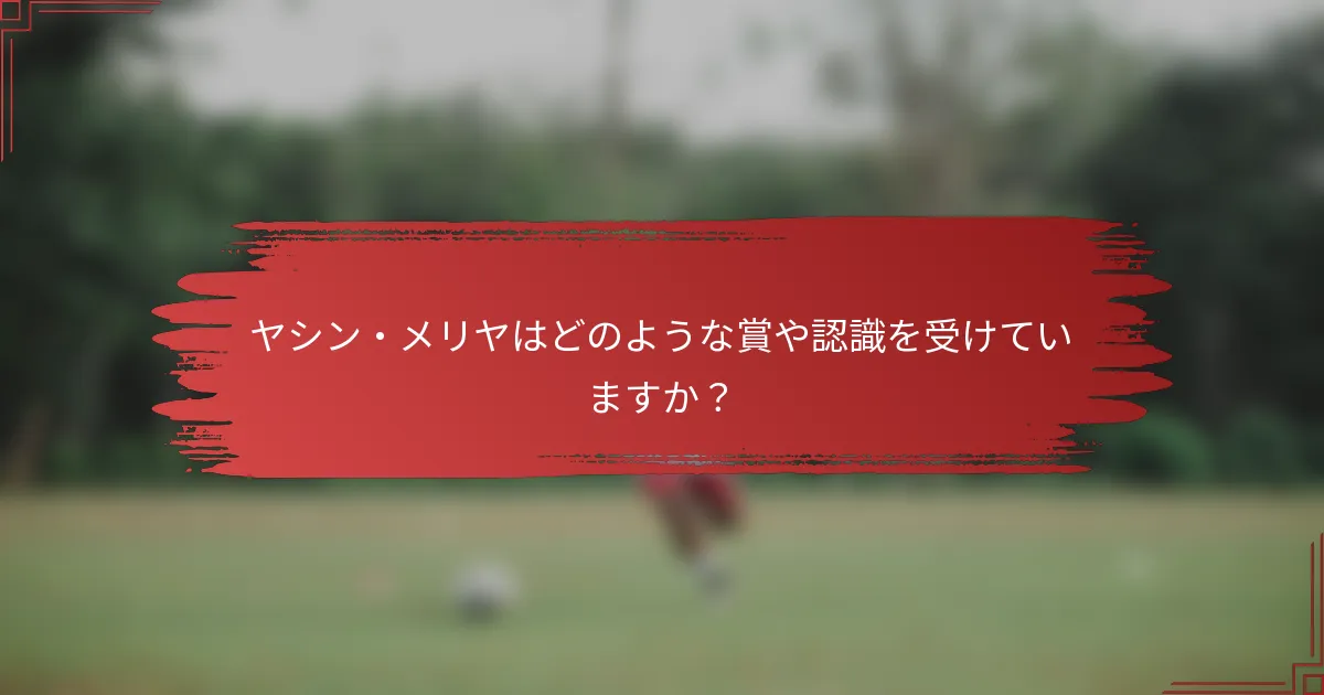 ヤシン・メリヤはどのような賞や認識を受けていますか？